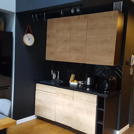 Apartament Dwupoziomowy Z Klimatyzacja Apartment Krynica Zdroj
