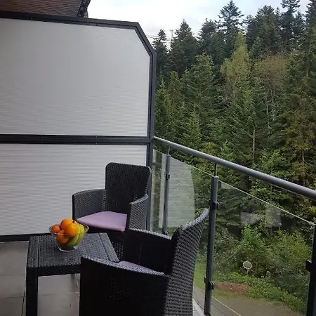 Apartament Dwupoziomowy Z Klimatyzacja * Krynica Zdroj