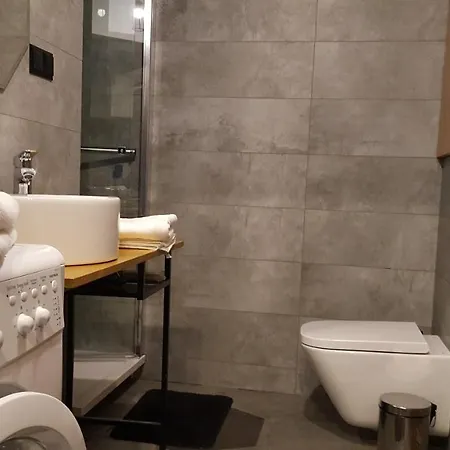 Apartament Dwupoziomowy Z Klimatyzacja Krynica Zdroj